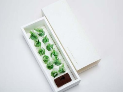 【濟南茶葉包裝盒廠家】喝的不是茶，是創(chuàng)意！